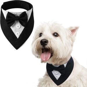 Dog Bow-Tie