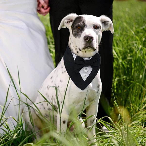 Dog Bow-Tie