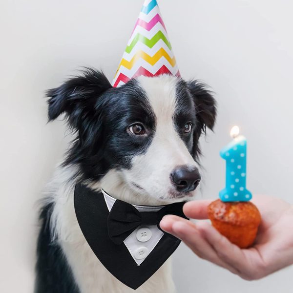 Dog Bow-Tie