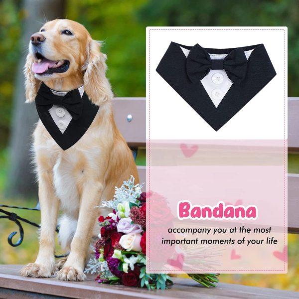 Dog Bow-Tie
