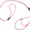 Martingale Dog Leash