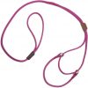 Martingale Dog Leash