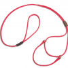 Martingale Dog Leash