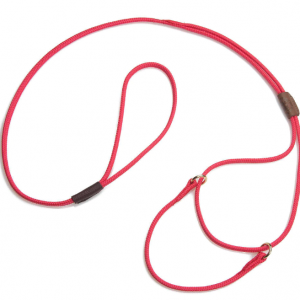 Martingale Dog Leash