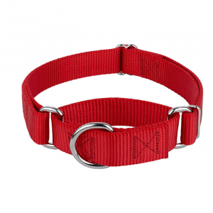 Martingale Dog Collar