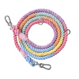 Handmade Braided Dog Leash