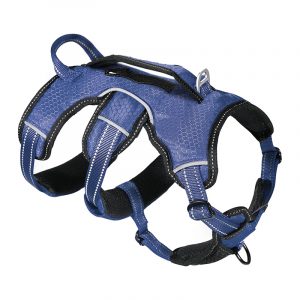 Escape-Proof Dog Harness