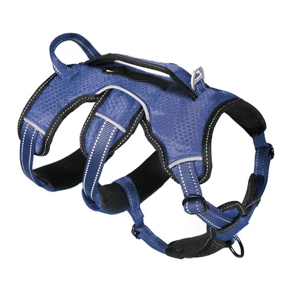 Escape-Proof Dog Harness