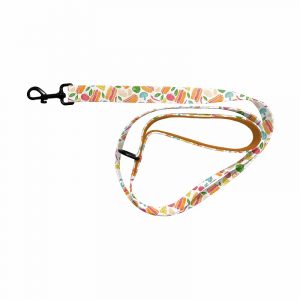 Standard Dog Leash
