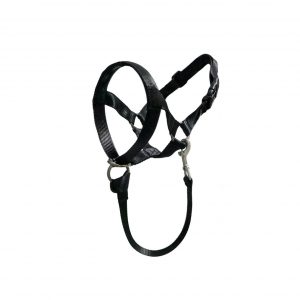 Dog Head Collar