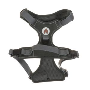 Adjustable Double D Ring Dog Harness