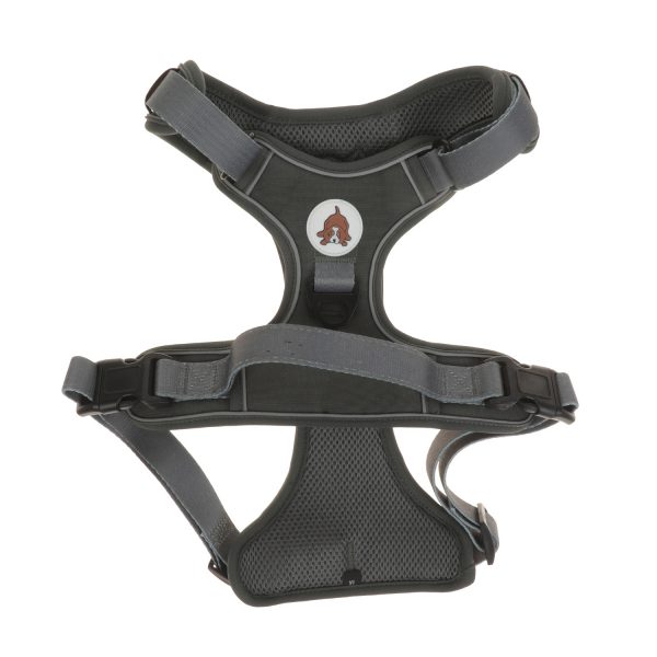Adjustable Double D Ring Dog Harness
