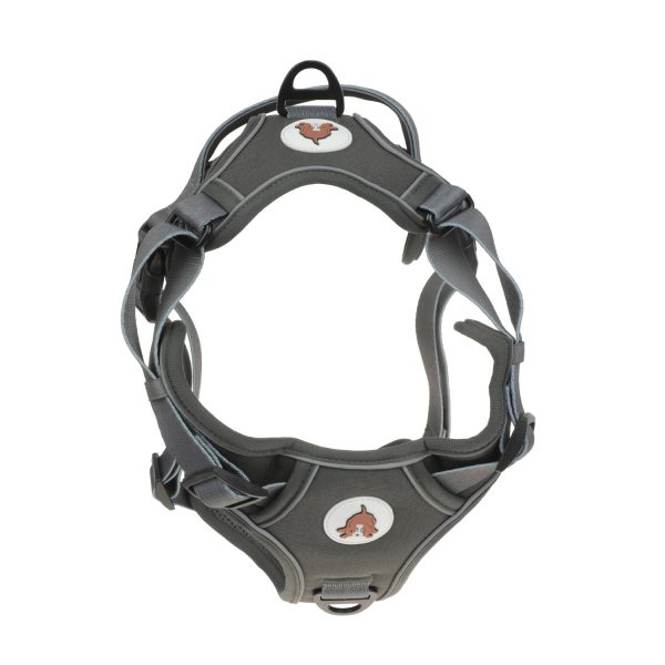 Adjustable Double D Ring Dog Harness