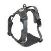 Adjustable Double D Ring Dog Harness