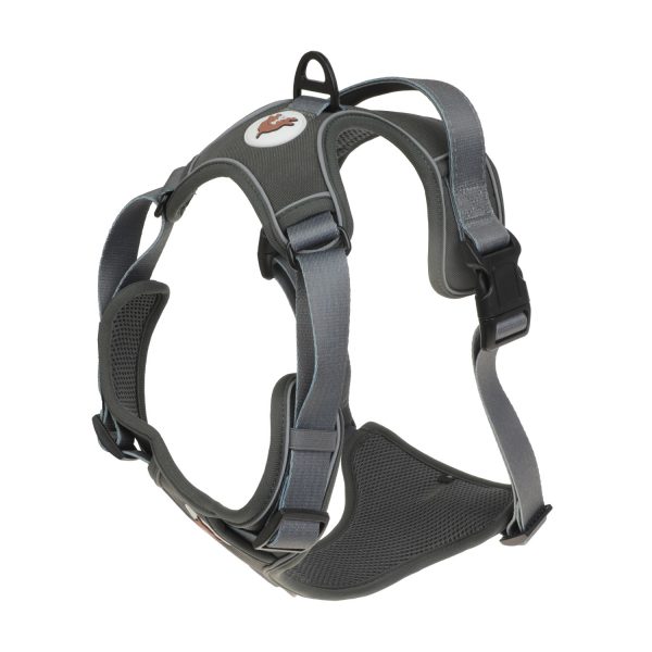 Adjustable Double D Ring Dog Harness