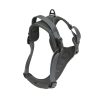 Adjustable Double D Ring Dog Harness