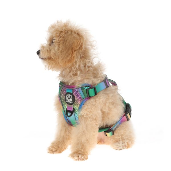 Gradient Color Double Layer Front Traction Reflective Dog Harness For Small Dog