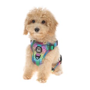 Gradient Color Double Layer Front Traction Reflective Dog Harness For Small Dog
