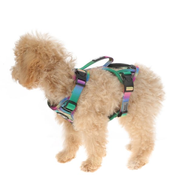 Gradient Color Double Layer Front Traction Reflective Dog Harness For Small Dog