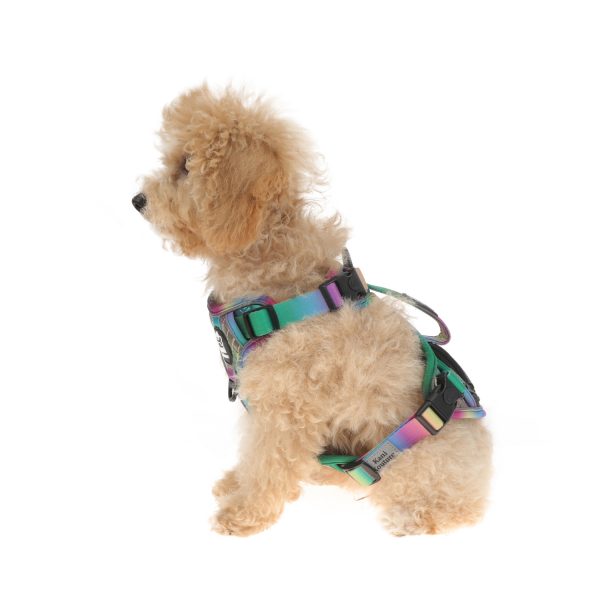 Gradient Color Double Layer Front Traction Reflective Dog Harness For Small Dog