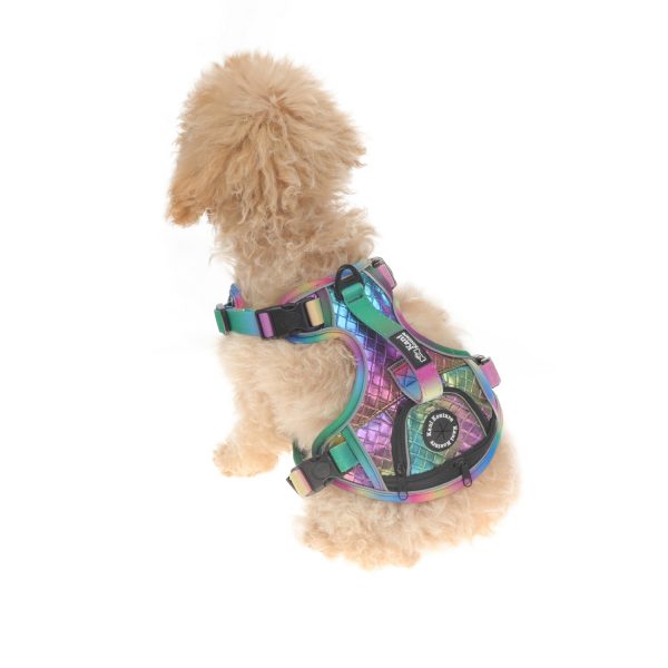 Gradient Color Double Layer Front Traction Reflective Dog Harness For Small Dog