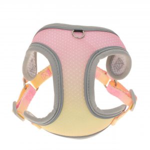 Small Dog Breathable Harness