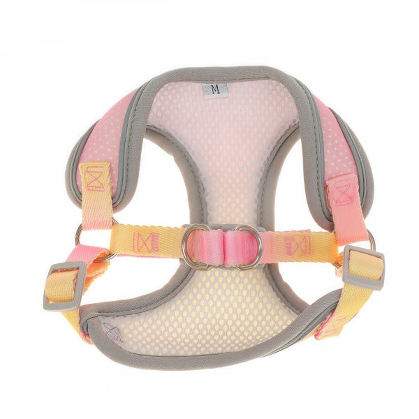 Small Dog Breathable Harness