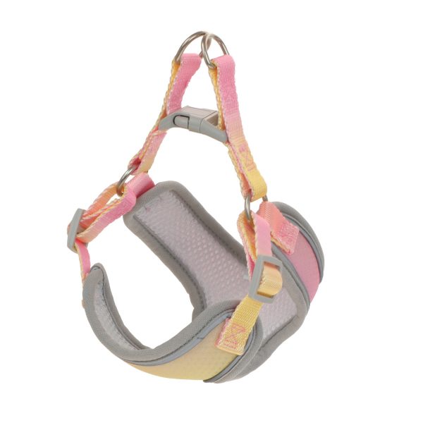 Small Dog Breathable Harness