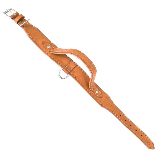 Handle Genuine Leather Dog Collar