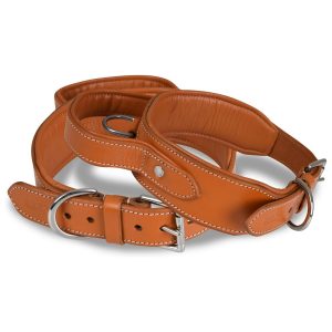 Handle Genuine Leather Dog Collar