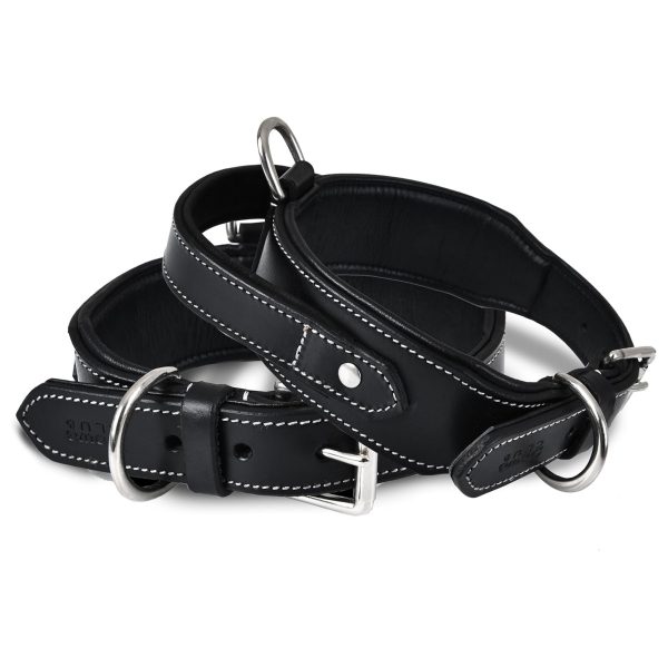 Handle Genuine Leather Dog Collar