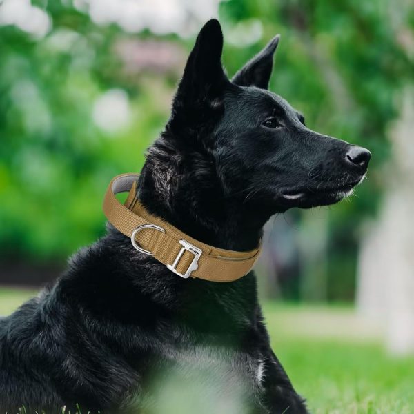 Handle Nylon Dog Collar