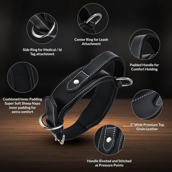 Handle Genuine Leather Dog Collar