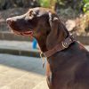 Genuine Leather Dog Collar