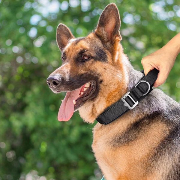 Handle Nylon Dog Collar