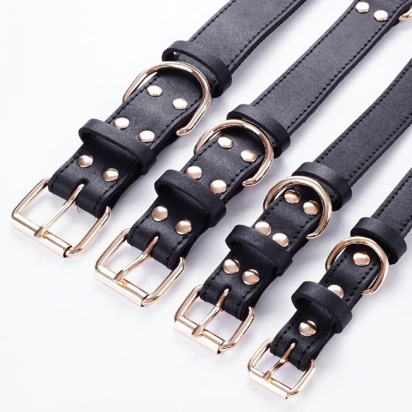 Genuine Leather Dog Collar