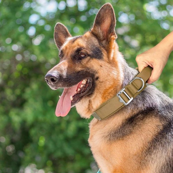 Handle Nylon Dog Collar