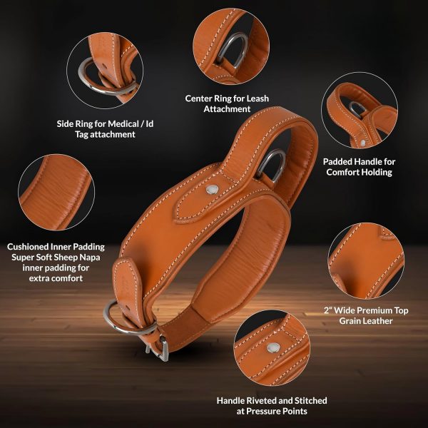 Handle Genuine Leather Dog Collar