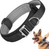 Handle Nylon Dog Collar