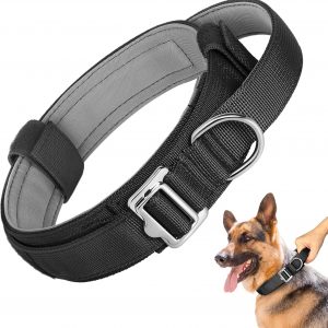 Handle Nylon Dog Collar