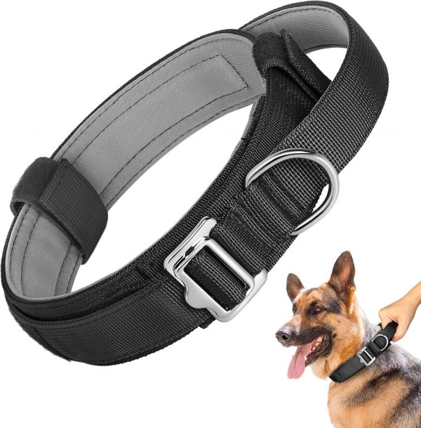 Handle Nylon Dog Collar