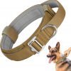 Handle Nylon Dog Collar