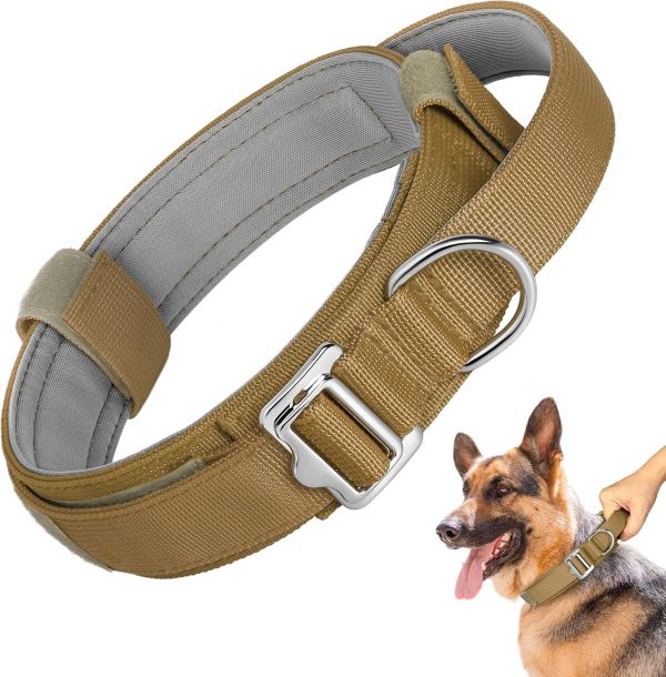 Handle Nylon Dog Collar