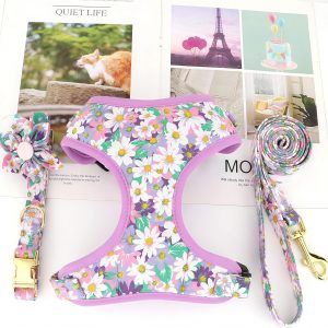 Customized fashion design dog harness