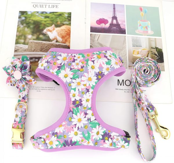 Customized fashion design dog harness