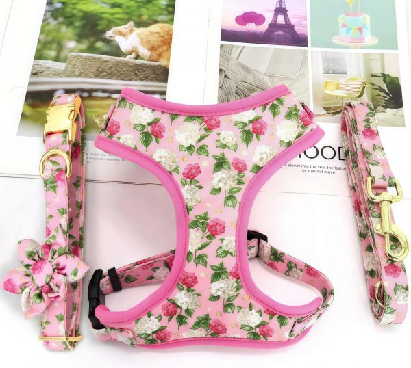 Customized fashion design dog harness