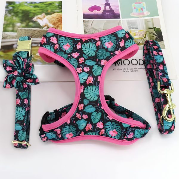Customized fashion design dog harness