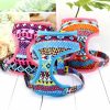 Colorful design pet dog harness