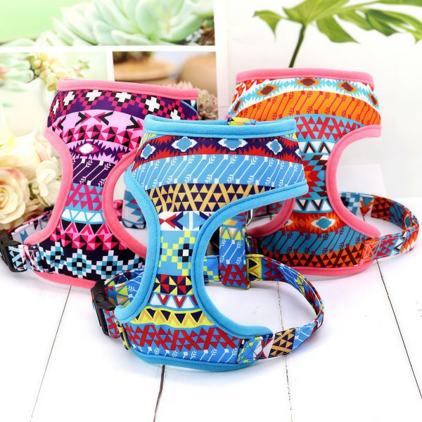 Colorful design pet dog harness