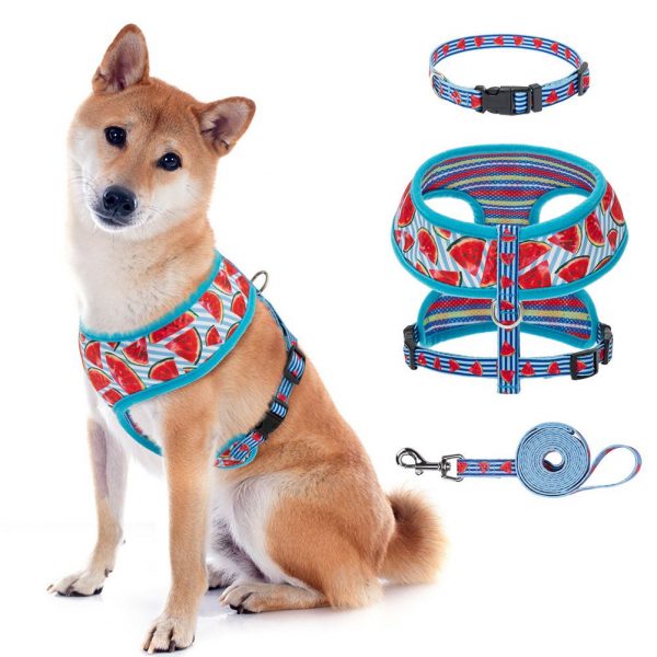Colorful design pet dog harness